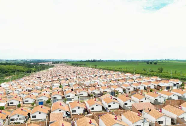 Sete lotes do Ypê Amarelo são colocados à venda