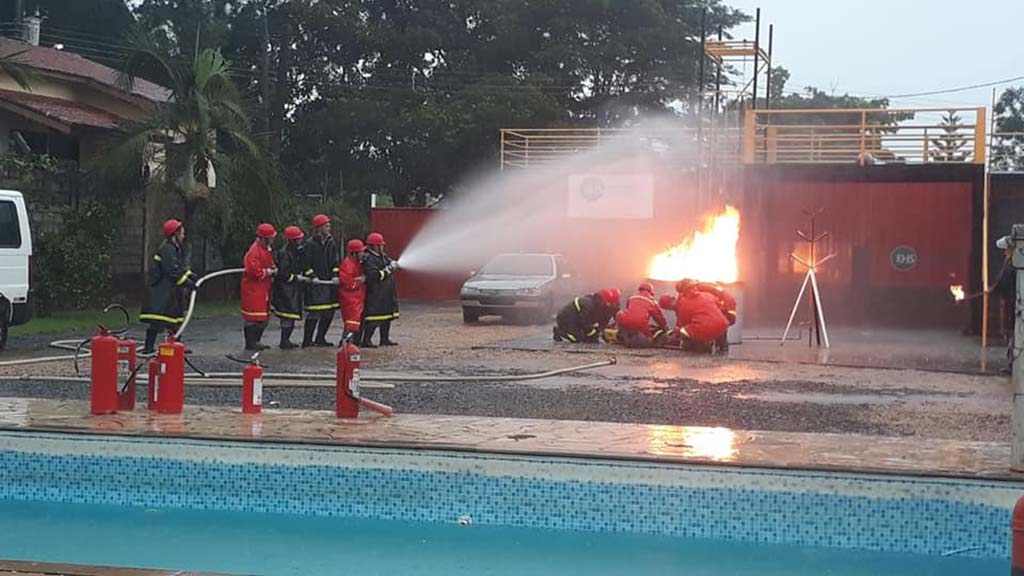 Os melhores nadadores de São Paulo se reunirão entre os dias 6 e 8