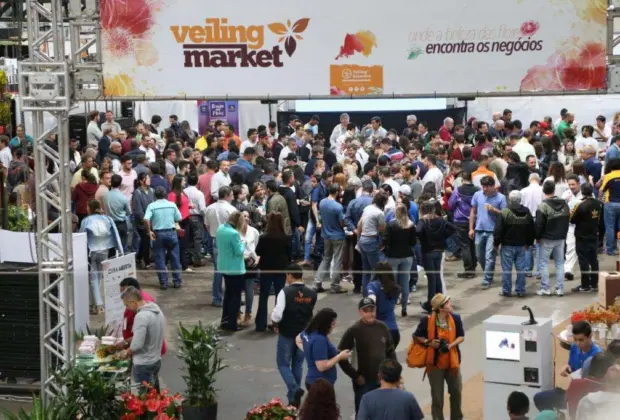 Com recorde de participantes Veiling Market comemora os 30 anos de Klok 