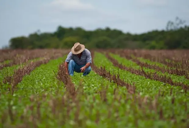 2º Encontro de Produtores Rurais do município acontece neste sábado, dia 8