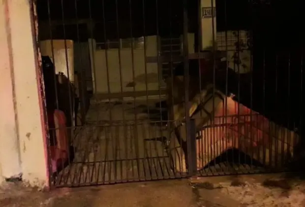 Ação social do CREAS Jaguariúna constata redução de moradores de rua na cidade