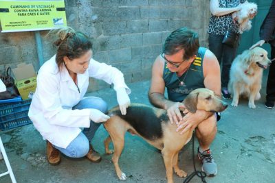 Campanha de vacinação de cães e gatos contra raiva animal tem data marcada