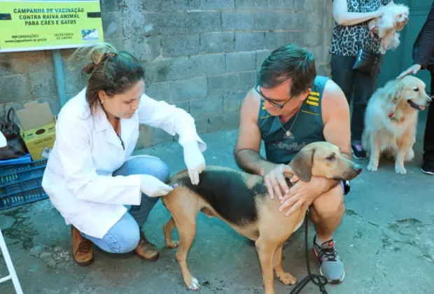 Campanha de vacinação de cães e gatos contra raiva animal tem data marcada