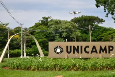 Unicamp abre inscrições para curso online voltado para professores dos ensinos Fundamental e Médio