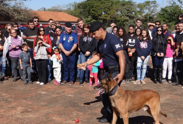 Terceira Edição do Curso de Obediência Básica para Cães conta com quase 100 participantes