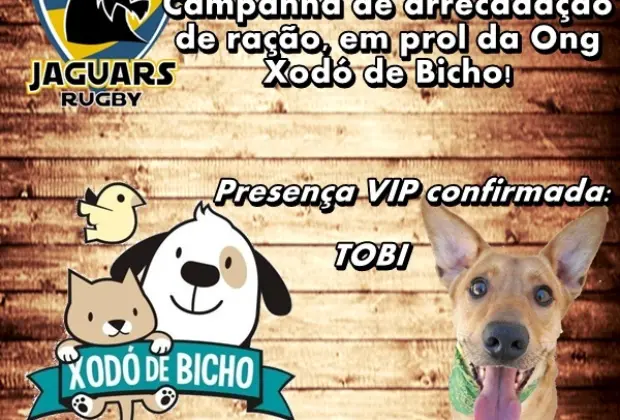 Jaguars Rugby arrecada ração para a ONG Xodó de Bicho no próximo jogo