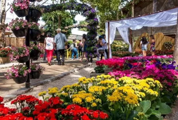 Morador de Holambra tem acesso gratuito à Expoflora