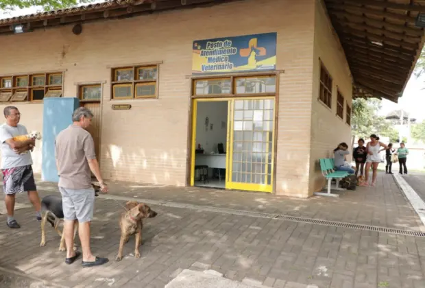 QUASE 50 CÃES SÃO CASTRADOS DE GRAÇA EM UM ÚNICO DIA EM JAGUARIÚNA