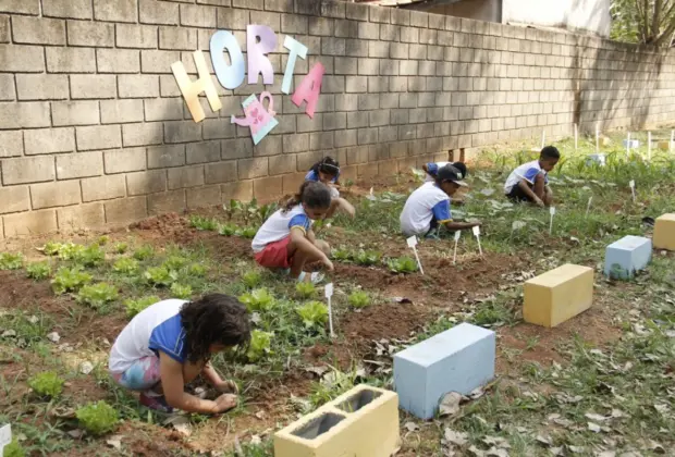 ESCOLA MUNICIPAL GANHA HORTA E ALUNOS APRENDEM A CULTIVAR EM JAGUARIÚNA