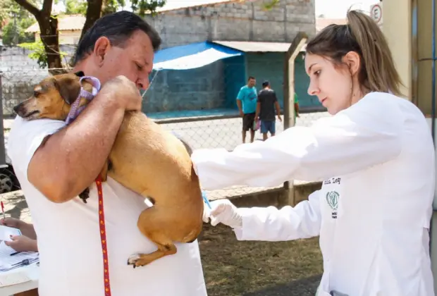 CAMPANHA DE VACINAÇÃO ANTIRRÁBICA VACINA QUASE 1500 ANIMAIS NO ÚLTIMO SÁBADO