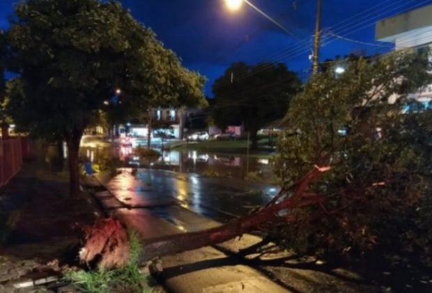 Temporal provoca queda de árvores e alagamentos em Jaguariúna; famílias foram retiradas de prédio com risco