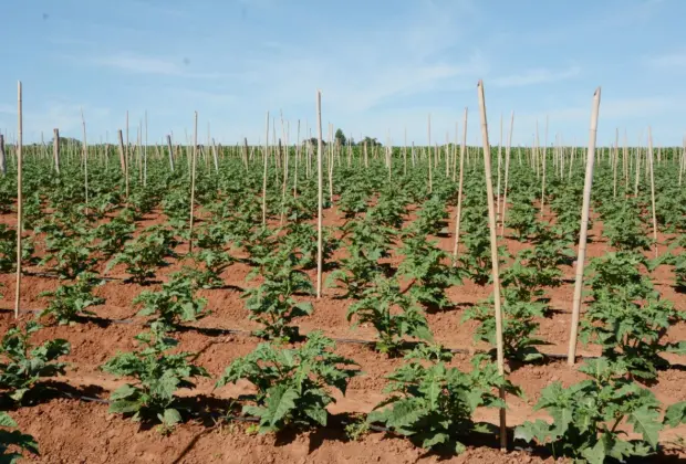 PREFEITURA CONVIDA PRODUTORES RURAIS PARA PREENCHIMENTO DA DIPAM