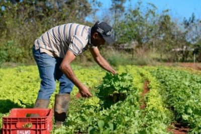 OR – Prefeitura de Pedreira irá adquirir gêneros alimentícios provenientes da Agricultura Familiar