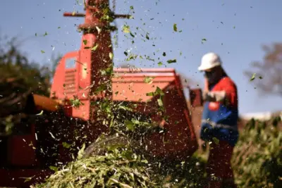 Prefeitura orienta munícipes sobre descarte de lixo vegetal e entulhos