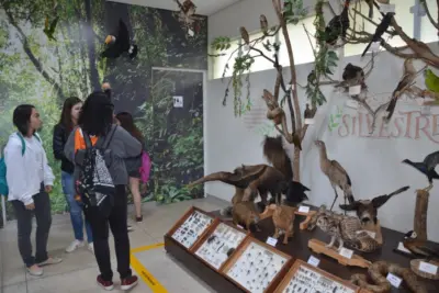 Museu de História Natural tem candidatura aprovada em cadastro do Estado