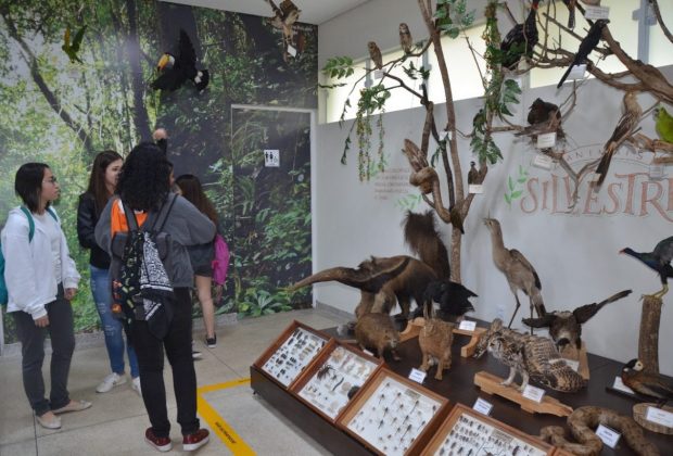 Museu de História Natural tem candidatura aprovada em cadastro do Estado