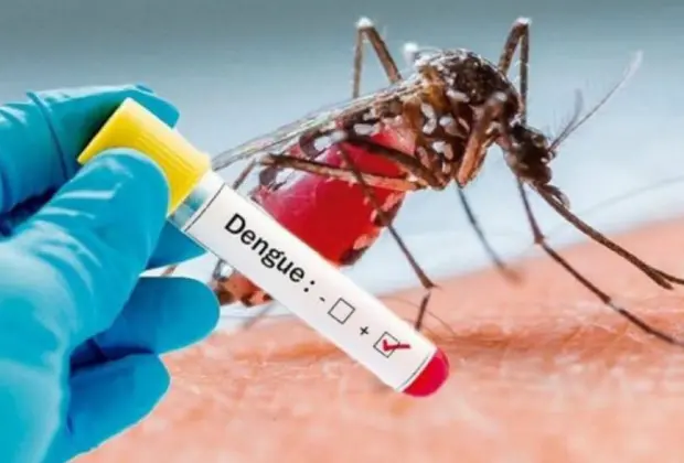 Dengue chega a 1.183 casos positivos em Mogi Mirim