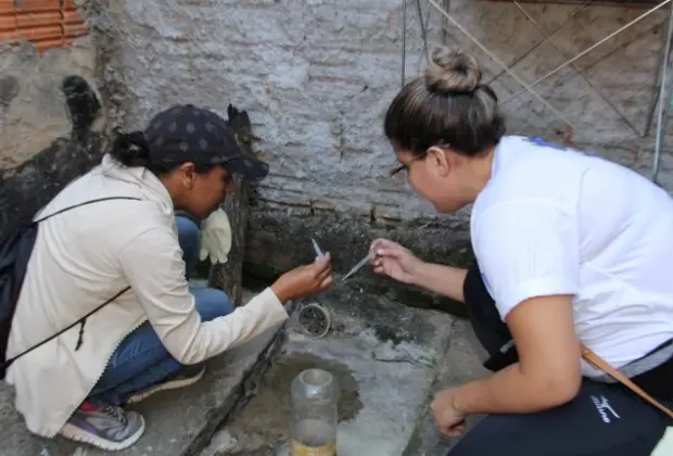 PREFEITURA REALIZA MUTIRÃO DE COMBATE AO MOSQUITO AEDES AEGYPTI EM QUATRO BAIRROS DA CIDADE