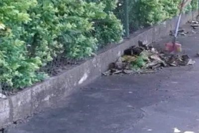 Limpeza de calçadas é de responsabilidade dos proprietários dos imóveis