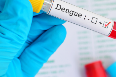 Mogi Mirim registra mais duas mortes por dengue