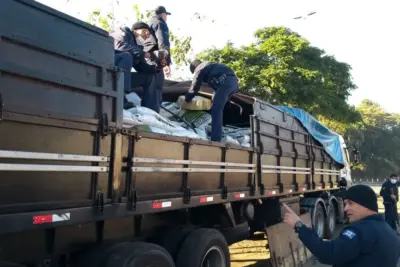 Guarda Municipal de Itapira localiza maconha em carreta de adubo