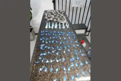 ROMU de Pedreira prende mulher por tráfico de drogas