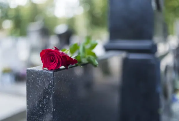 Cemitério de Mogi Mirim faz homenagem ao Dia das Mães com rosas em todas as lápides por conta do distanciamento social 07/05/2020
