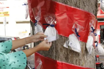 Árvores de máscaras distribuem proteção em Jaguariúna