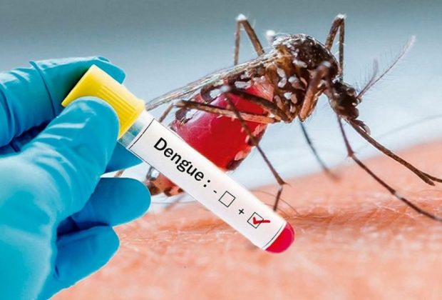 Pedreira registra 95 casos positivos de “Dengue” em 2020