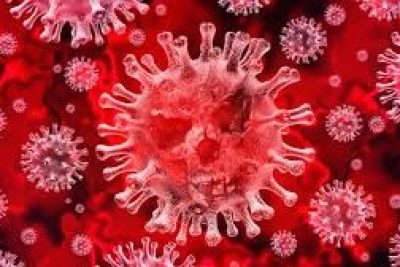 Holambra tem aumento de 9 casos do novo coronavírus em uma semana