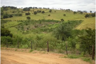 Jaguariúna desenvolve ações em respeito ao Meio Ambiente