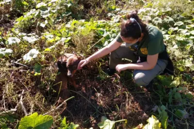 Patrulha Ambiental de Itapira completa cinco anos