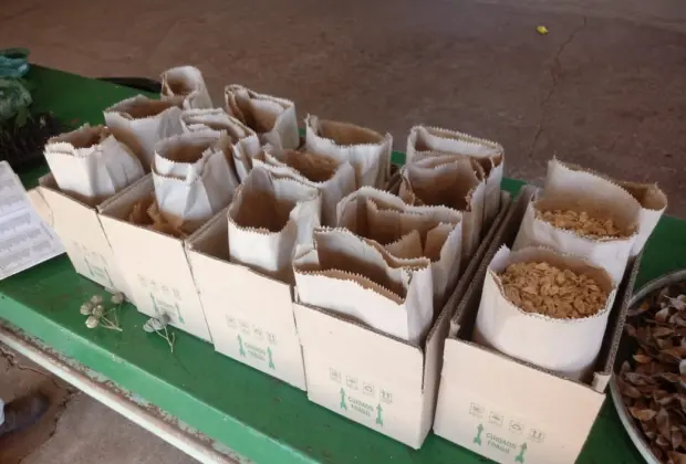 Viveiros Municipais parceiros do Consórcio PCJ são abastecidos com insumos para a produção de mudas nativas