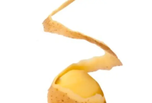 Apenas cascas de batata – Paiva Netto