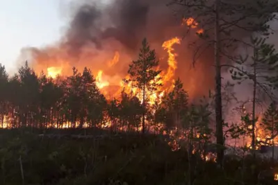 PREFEITURA DE ESTIVA GERBI REALIZA AÇÕES DE COMBATE A FOCOS DE INCÊNDIO