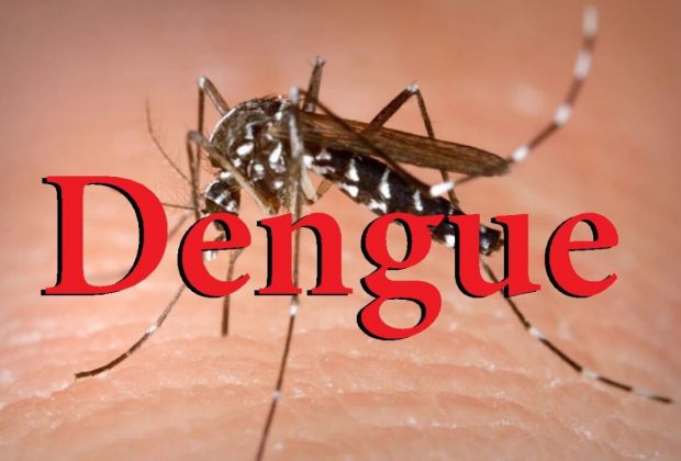 Secretaria de Saúde de Pedreira registra 116 casos positivos de Dengue em 2020