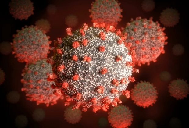 Números do Coronavírus caem na Região Metropolitana que Holambra pertence