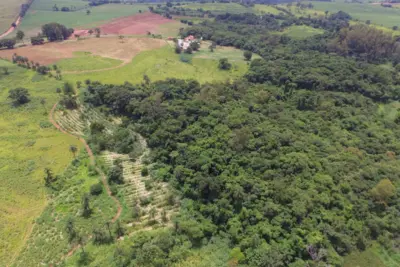 Jaguariúna dobra vegetação nativa, segundo Inventário Florestal do Estado