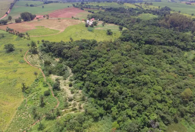 Jaguariúna dobra vegetação nativa, segundo Inventário Florestal do Estado