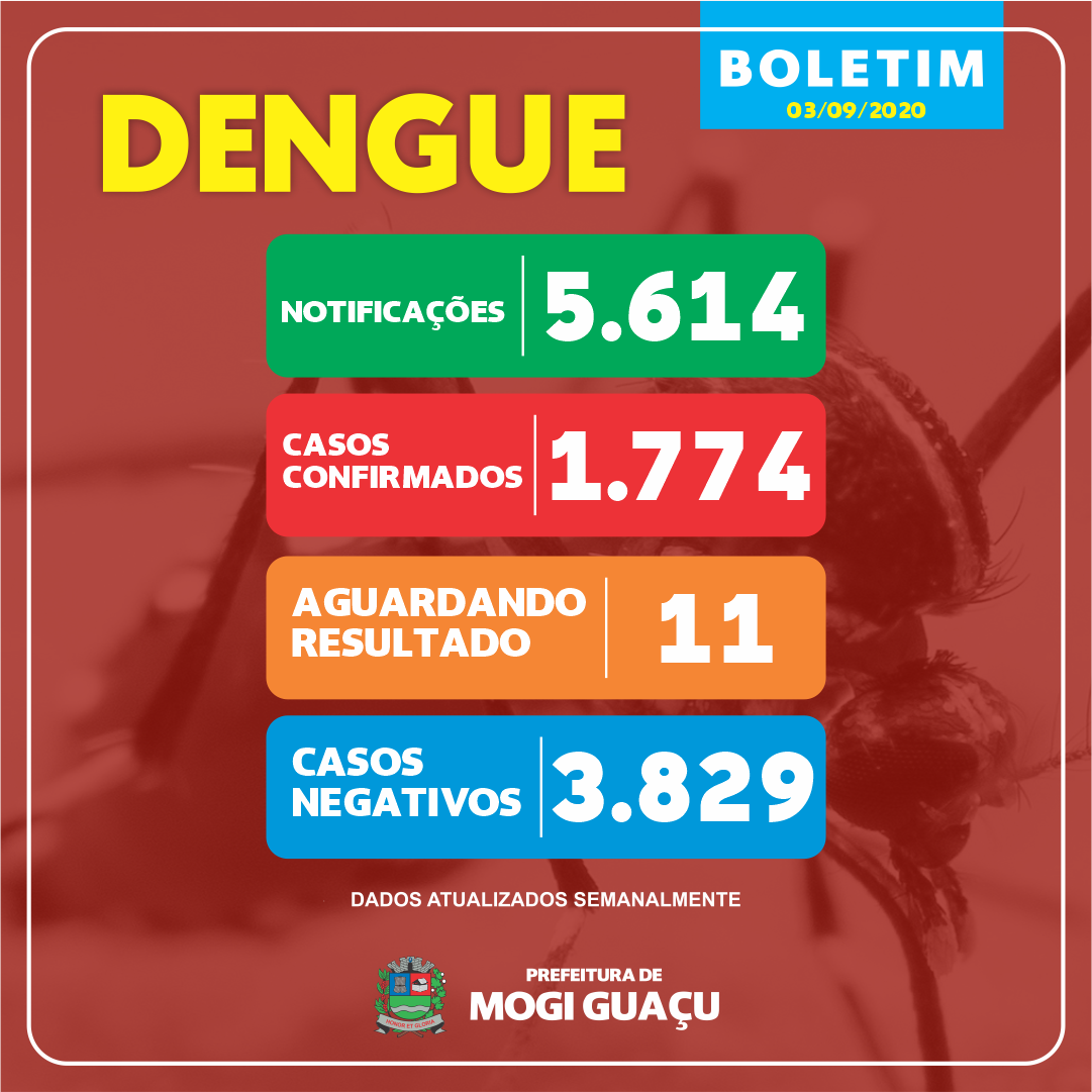 Dados Da Dengue No Brasil 2022 Image to u