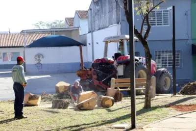 Praça Francisco Alves é revitalizada