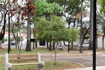 Plantio de ipês na Praça Francisco Alves marca comemoração do Dia da Árvore | Mogi Mirim