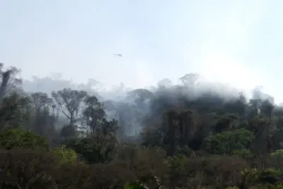 Queimadas agravam doenças respiratórias – Especialista orienta cuidados