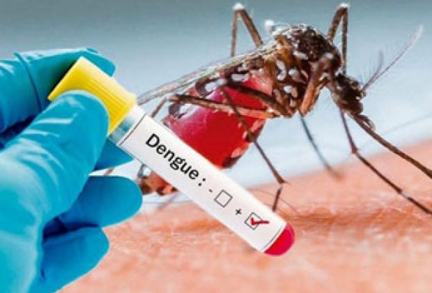 Cidade de Mogi Mirim registra dois casos de dengue em intervalo de uma semana