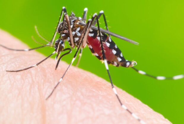Visitas de bloqueio contra dengue continuam sendo feitas normalmente