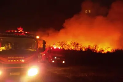 Incêndio chega com grande intensidade até a vicinal próxima da Usina