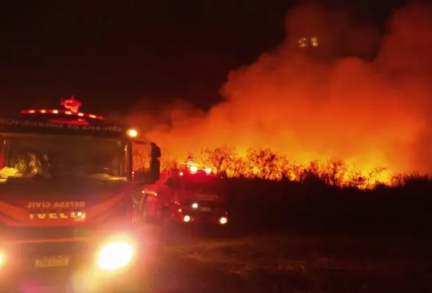 Incêndio chega com grande intensidade até a vicinal próxima da Usina