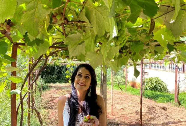 Influencer na área de plantas estará na ACE dia 09