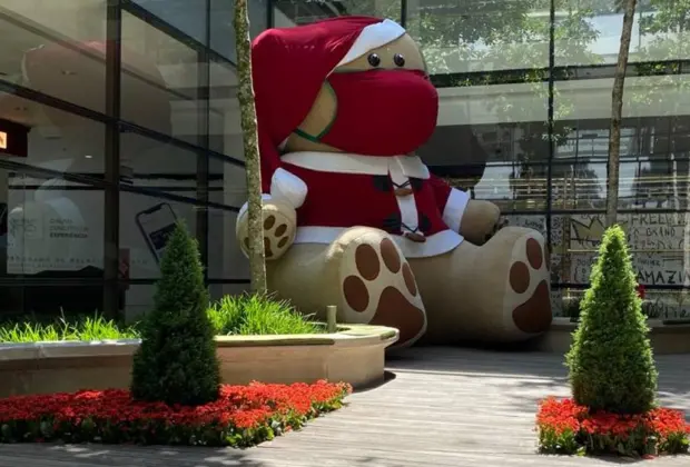 Paisagismo especial de Natal encanta clientes com flores e plantas produzidas em Holambra