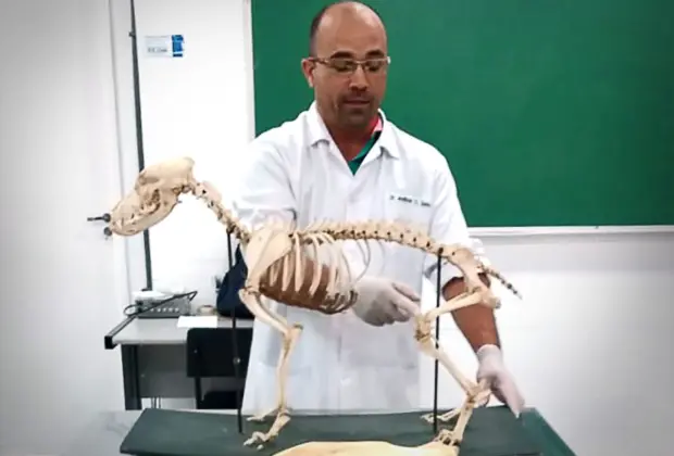 Impressão 3D na sala de aula: docente da Unifeob publica artigo sobre o tema